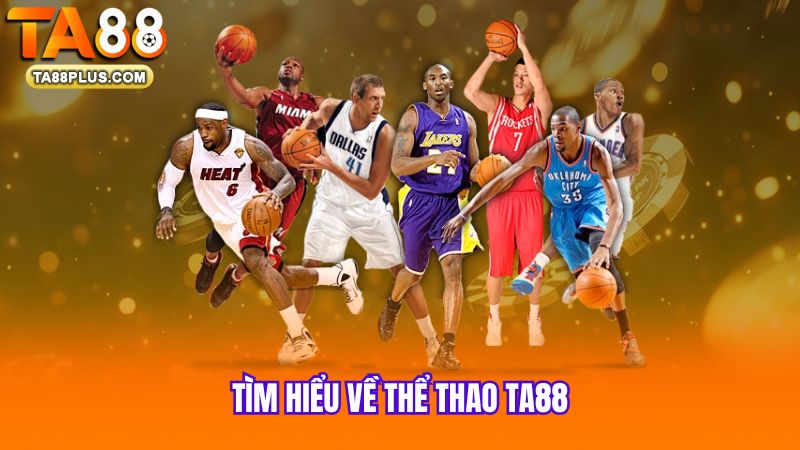 tim-hieu-ve-the-thao-ta88